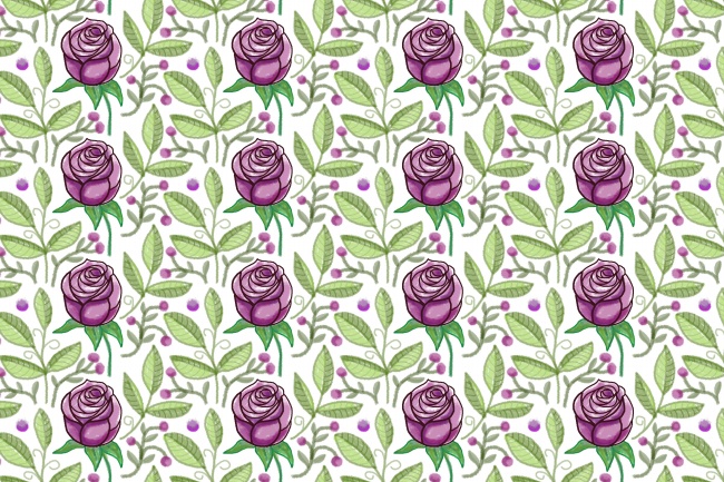 95年九月的猪是苦命还是富