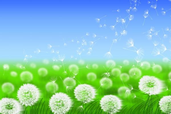 2002年马命里有官运吗