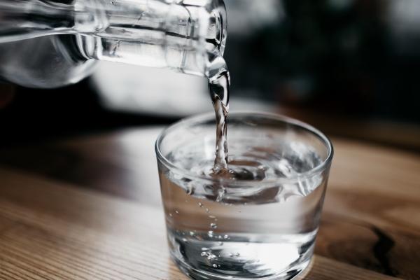 梦到了给狗喂奶什么寓意