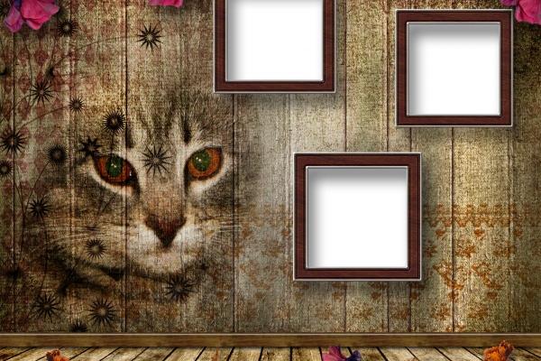 梦见袜子烂预示什么