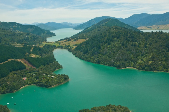 97年属牛的是什么命