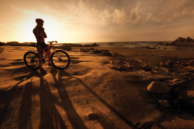 梦见巨鼠什么寓意