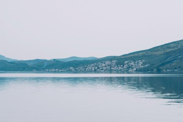 1995年属猪的几月份比较好