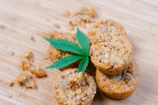 梦到了鱼缸里很多鱼有什么意思吗