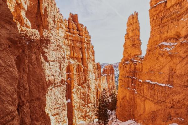 梦见乘大巴车有什么意思