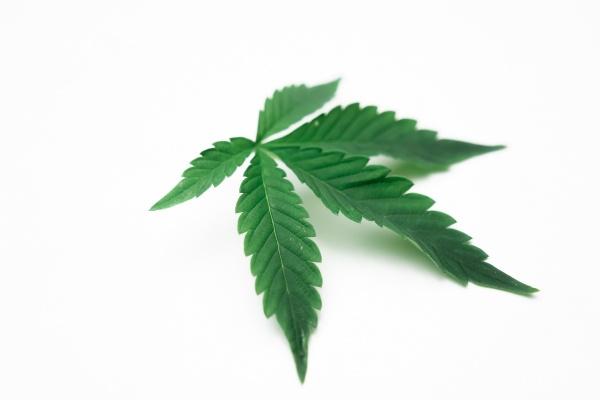 梦到了加床有什么含义