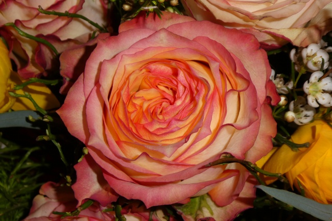 梦到了去同事家做客是什么兆头