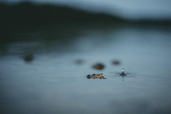 梦到三轮电动车是什么意思