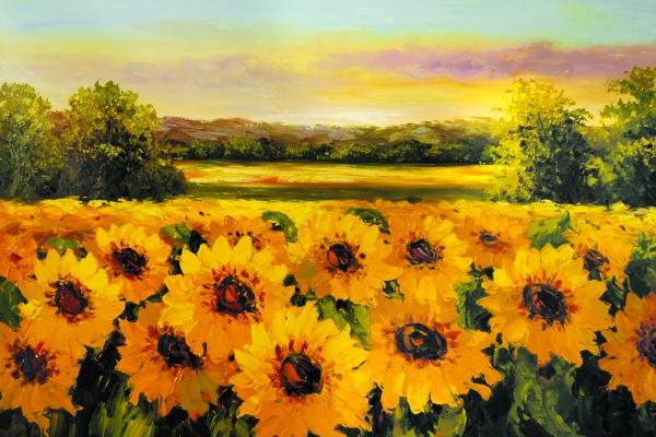 梦到座位被占意味什么