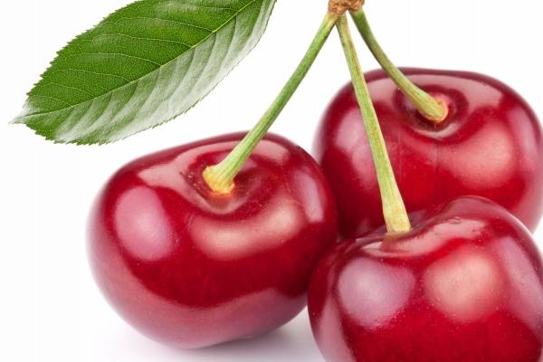 梦到了狗抱着我有什么寓意吗