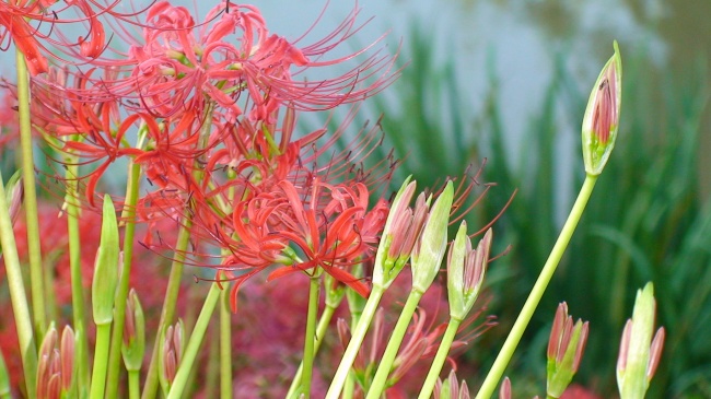 梦见走泥水路有什么说法