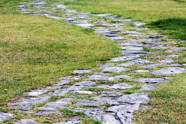 梦到了禾草是什么征兆