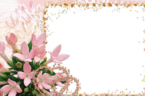 梦见喂流浪狗是什么预兆