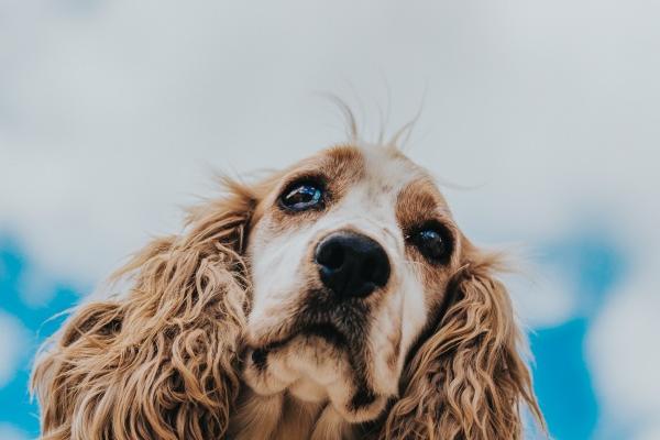 梦到了高中语文老师是什么兆头