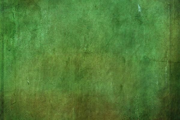 梦到了假牛代表什么