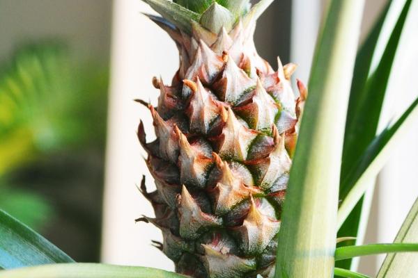 梦到了被说丑什么寓意