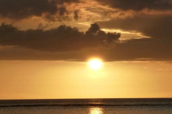 梦到橘子园怎么说