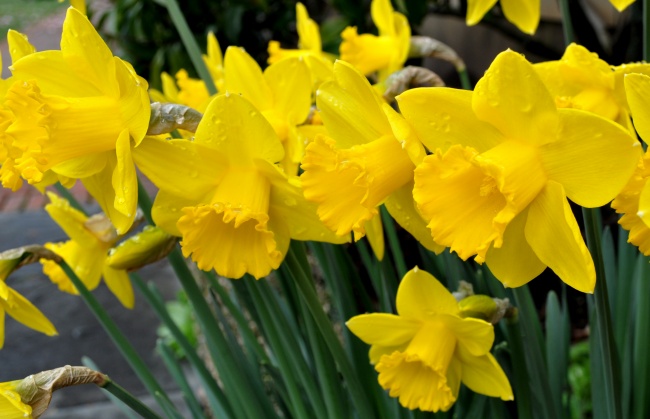 梦到死亡的爷爷是好事还是坏事