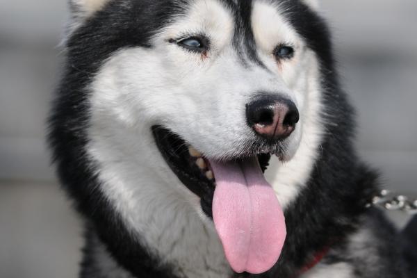 梦到了被降级是什么预兆?