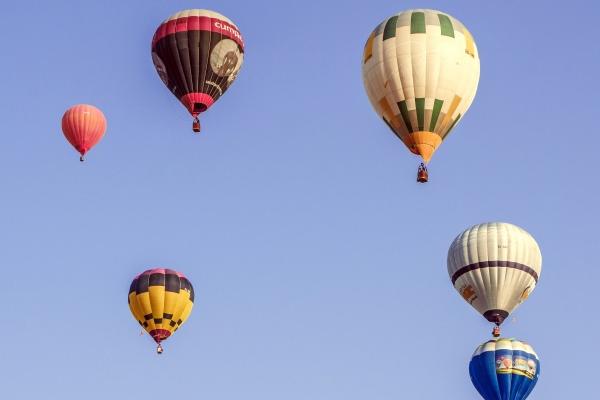 梦到蜥蜴咬意味着什么