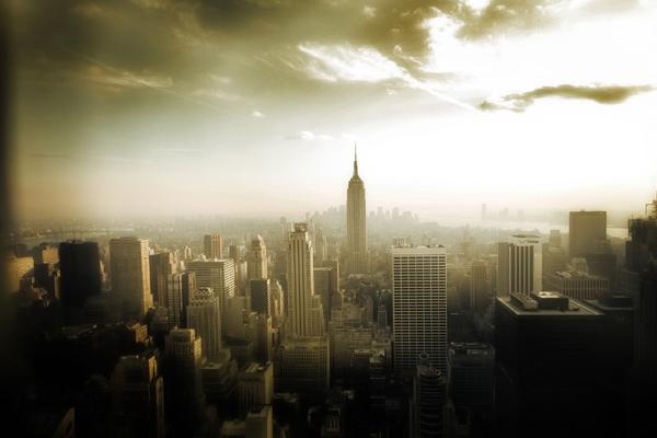 梦到了被猫抓手代表着什么?