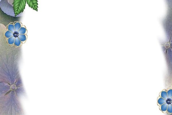 梦见红毛狗意味什么