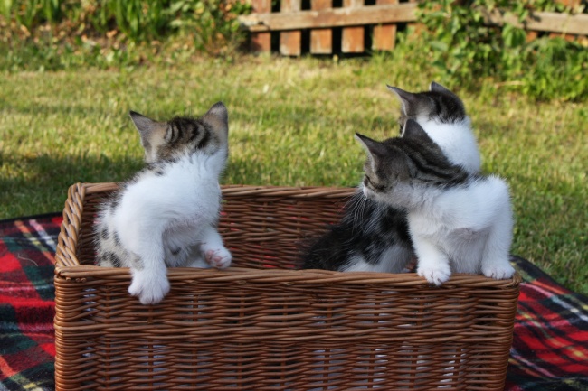 梦到了课桌坏了是什么启示