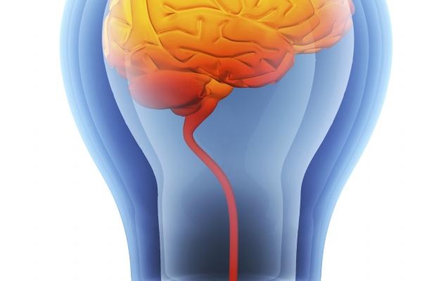 梦到了老二是什么兆头