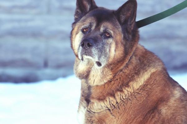 梦到新制服会有什么预兆