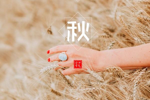 梦见死了的人又死一次有何寓意