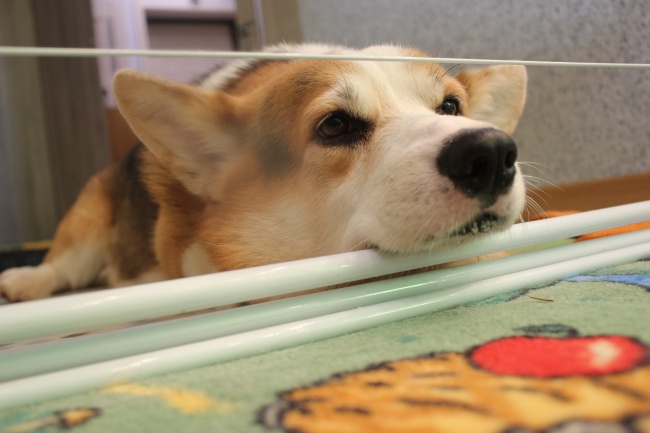 梦到了丟行李是什么预兆