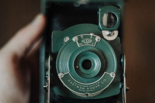 梦见小雏菊啥意思