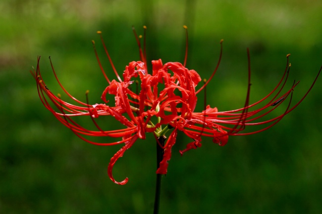 梦到贸易有什么意思