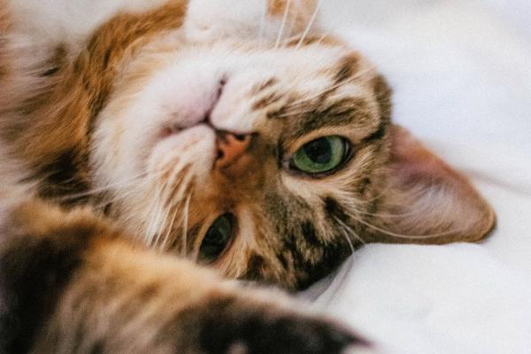 梦见导尿有什么含义