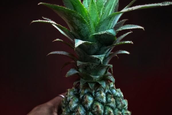 梦到了从房顶跳下来的预兆