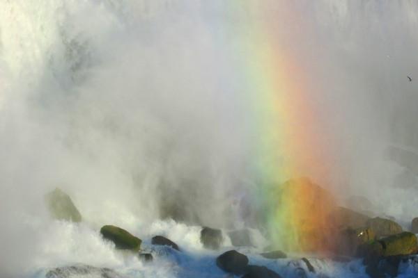 梦见下套有什么预示吗