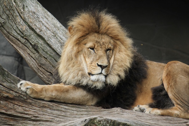 梦到下雨淹了是什么意思