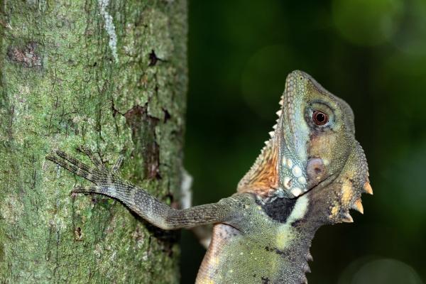 梦到了拉屎拉裤子了怎么样