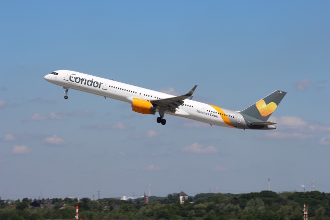 属猴2026年幸运色和忌色,属猴2026年的喜忌颜色