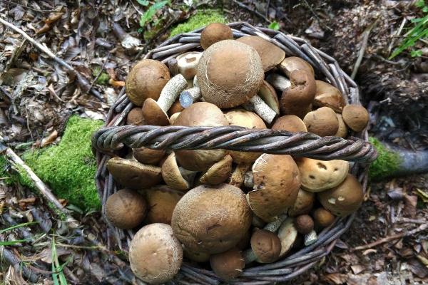 2027年最不顺利的属相