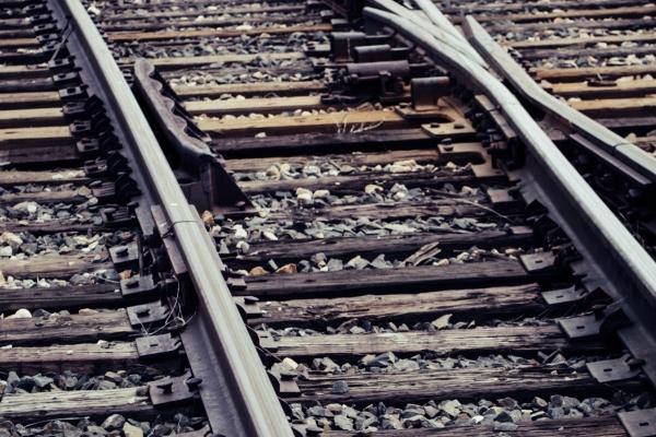 属狗人的命运婚姻一生概况