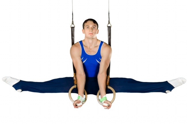 2026生肖羊双喜临门