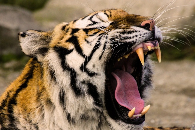 梦到了被女朋友抛弃代表着什么