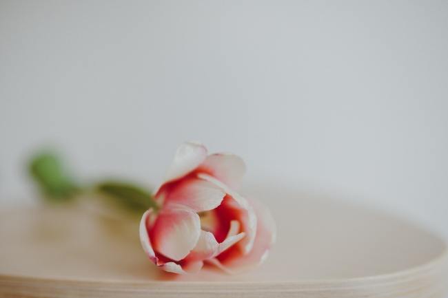 梦到豆奶粉是啥意思