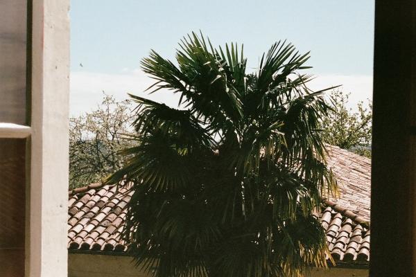 2026年属羊人佩戴什么最旺财