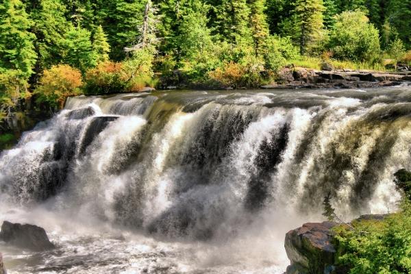 梦到阴茎断是啥意思