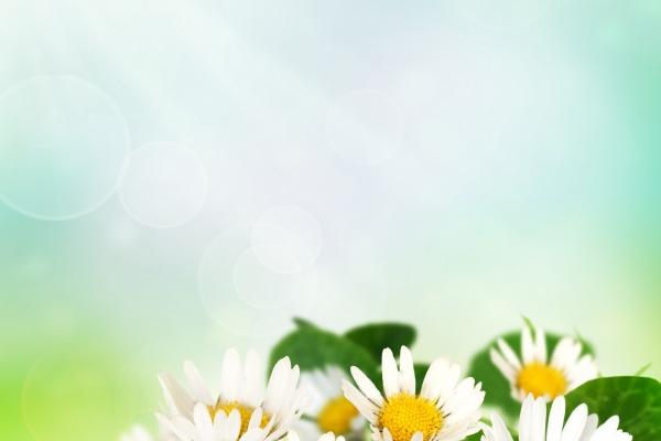 属鼠人最旺的方位,属鼠的永久发财方向