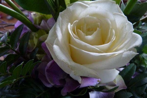 梦到小娃儿代表着什么?