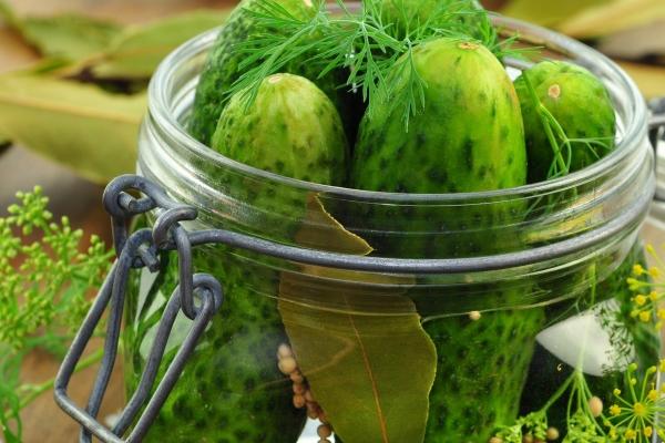 属龙人出生几月命硬