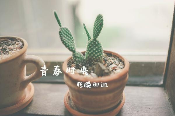 梦到了和稀泥会是什么预兆
